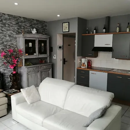 Vakantie De Panne Apartment *